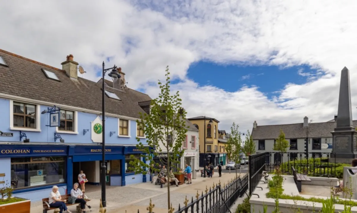 Renewable energy services in Wicklow